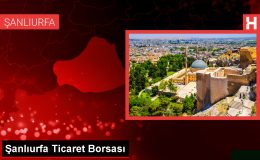 Şanlıurfa Ticaret Borsasında Preseli Pamuğun Kilogramı En Yüksek 45 Liradan Satıldı