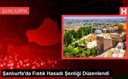 Şanlıurfa’da Fıstık Hasadı Şenliği Düzenlendi