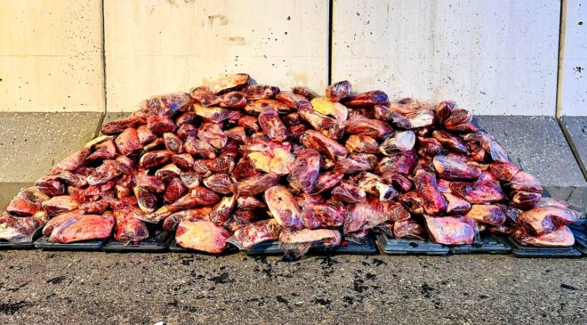 Şanlıurfa’da 1.7 ton kaçak et ele geçirildi