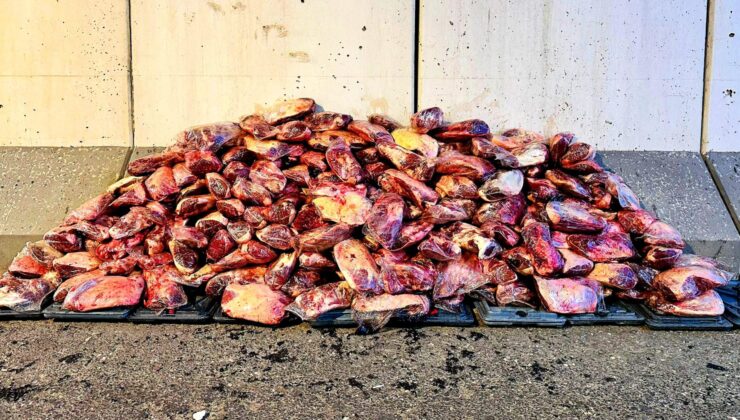 Şanlıurfa’da 1.7 ton kaçak et ele geçirildi