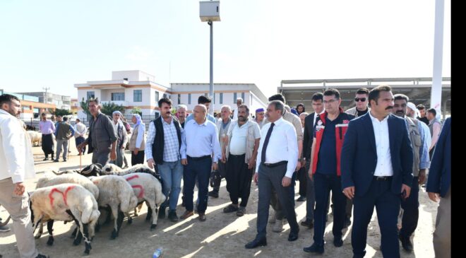 Şanlıurfa’da kurban satış ve kesim yerleri belirlendi
