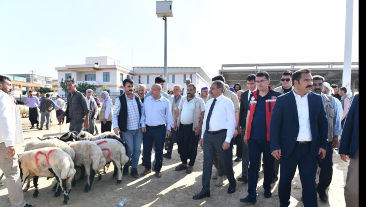Şanlıurfa’da kurban satış ve kesim yerleri belirlendi