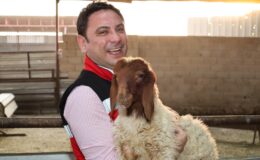 Kaymakam Şahin’den Hayvancılığa Yakın Takip
