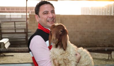 Kaymakam Şahin’den Hayvancılığa Yakın Takip